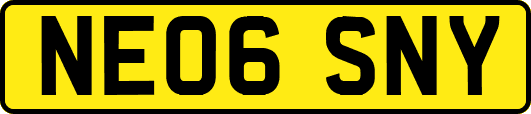 NE06SNY