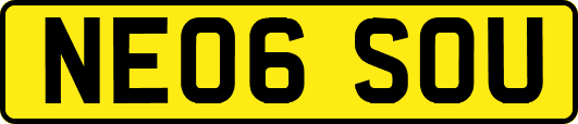 NE06SOU