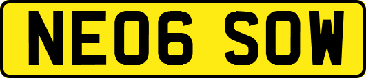 NE06SOW