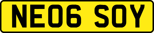 NE06SOY