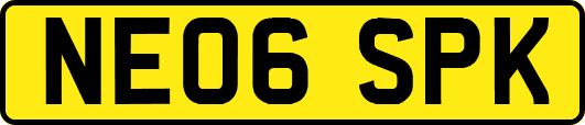 NE06SPK
