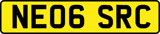 NE06SRC