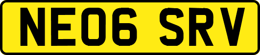 NE06SRV