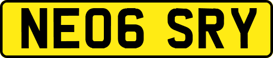 NE06SRY