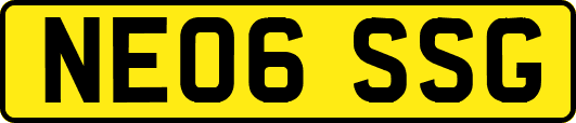 NE06SSG