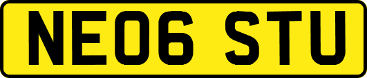 NE06STU