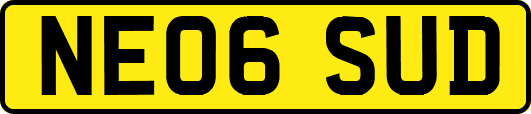 NE06SUD