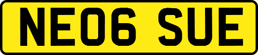 NE06SUE