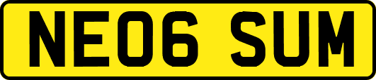 NE06SUM