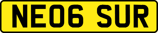 NE06SUR