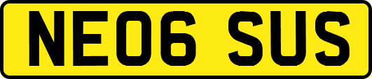 NE06SUS
