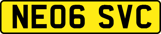 NE06SVC