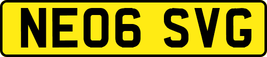 NE06SVG