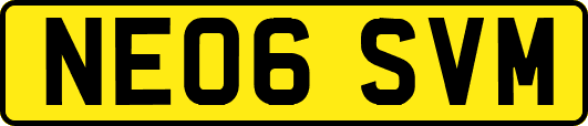 NE06SVM