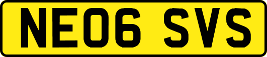 NE06SVS