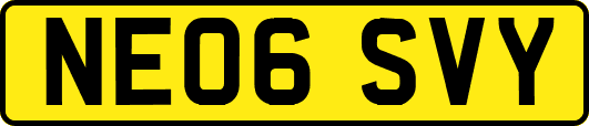 NE06SVY