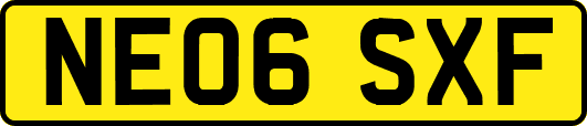 NE06SXF