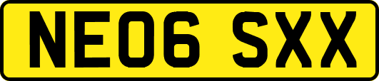 NE06SXX