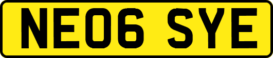 NE06SYE