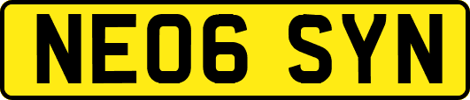 NE06SYN