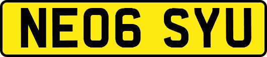 NE06SYU