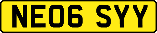 NE06SYY