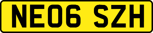 NE06SZH