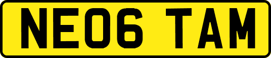 NE06TAM