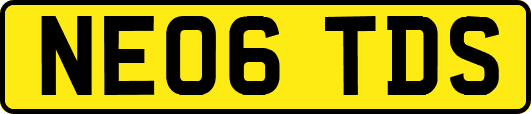 NE06TDS