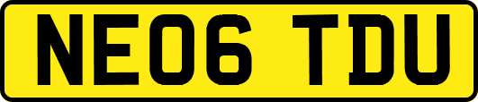 NE06TDU