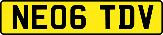 NE06TDV