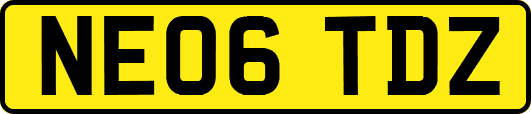 NE06TDZ