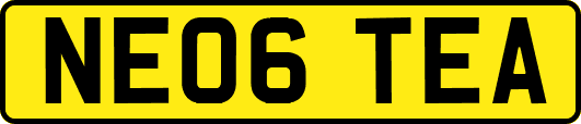 NE06TEA