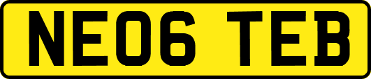 NE06TEB