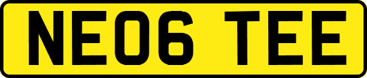 NE06TEE