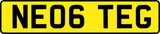 NE06TEG