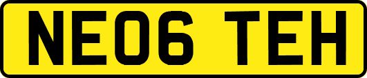 NE06TEH