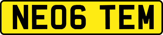 NE06TEM