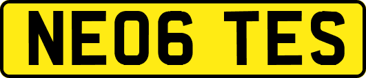NE06TES