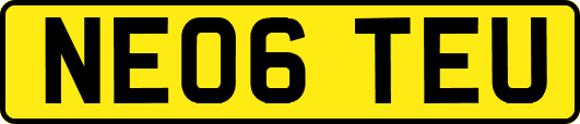 NE06TEU