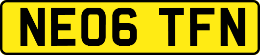NE06TFN
