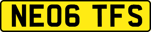 NE06TFS
