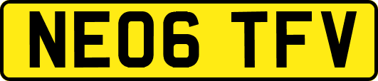 NE06TFV