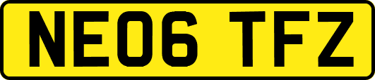 NE06TFZ