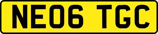 NE06TGC