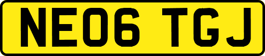 NE06TGJ