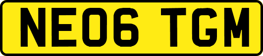 NE06TGM