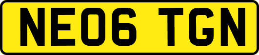 NE06TGN