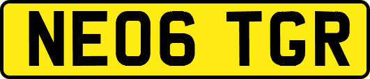 NE06TGR