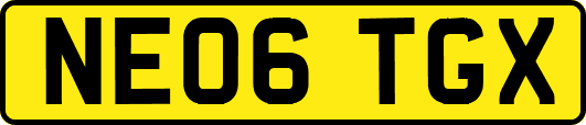 NE06TGX